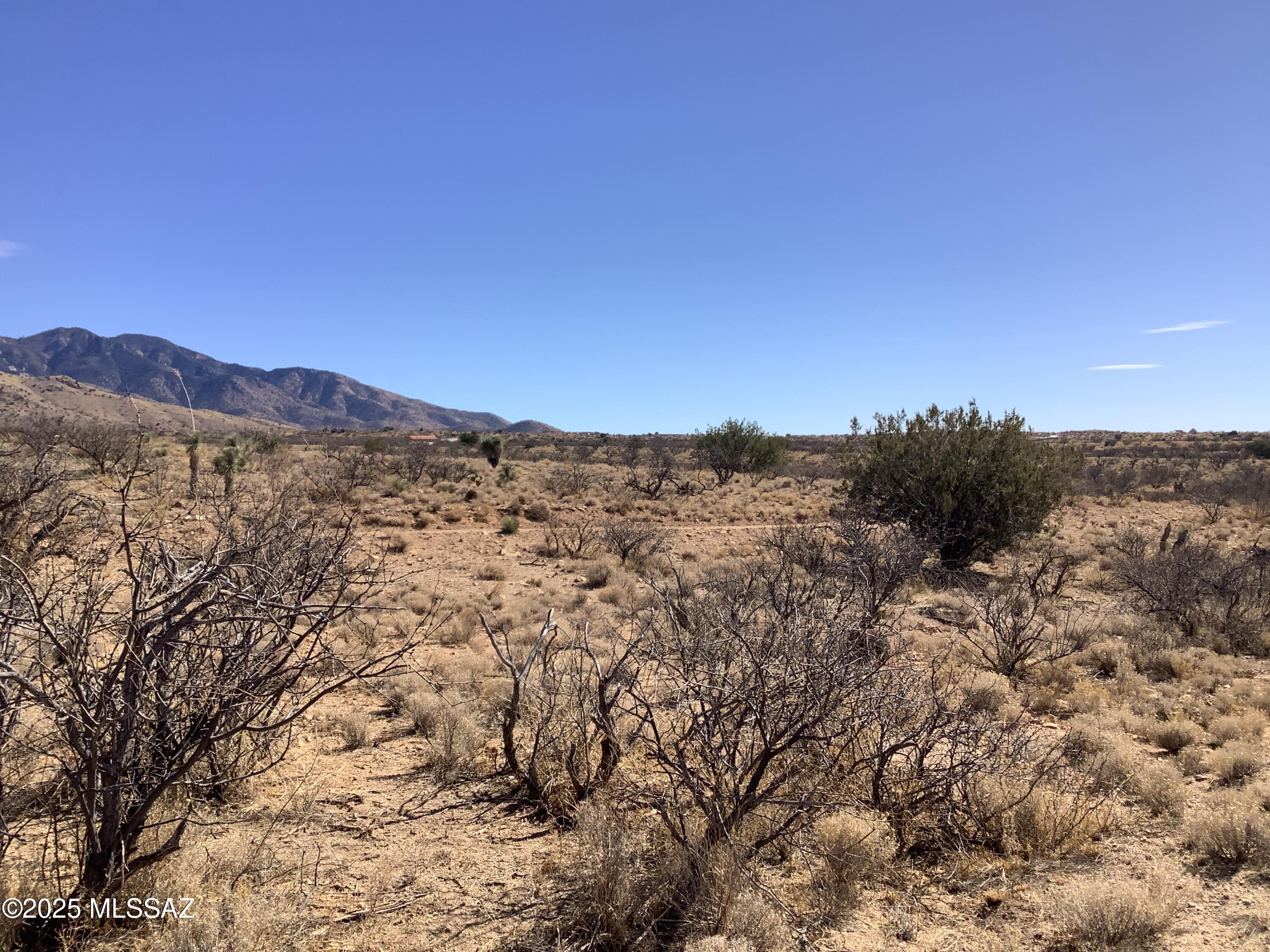 37.21-ac West Sheepwash Road, Unit 254 Willcox, AZ 85643 - Photo 11 of 37