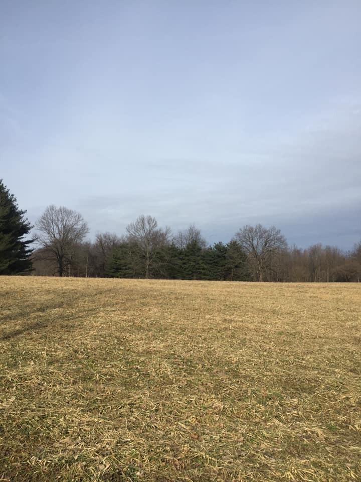 0 Fronce Road Mount Vernon, OH 43050 - Photo 2 of 6