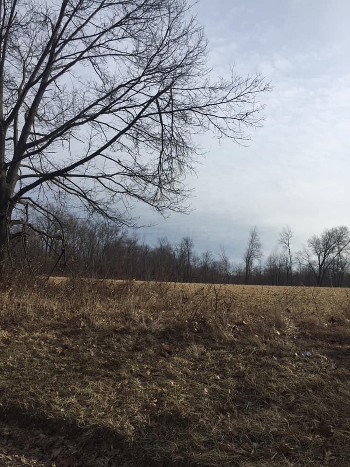 0 Fronce Road Mount Vernon, OH 43050 - Photo 3 of 6