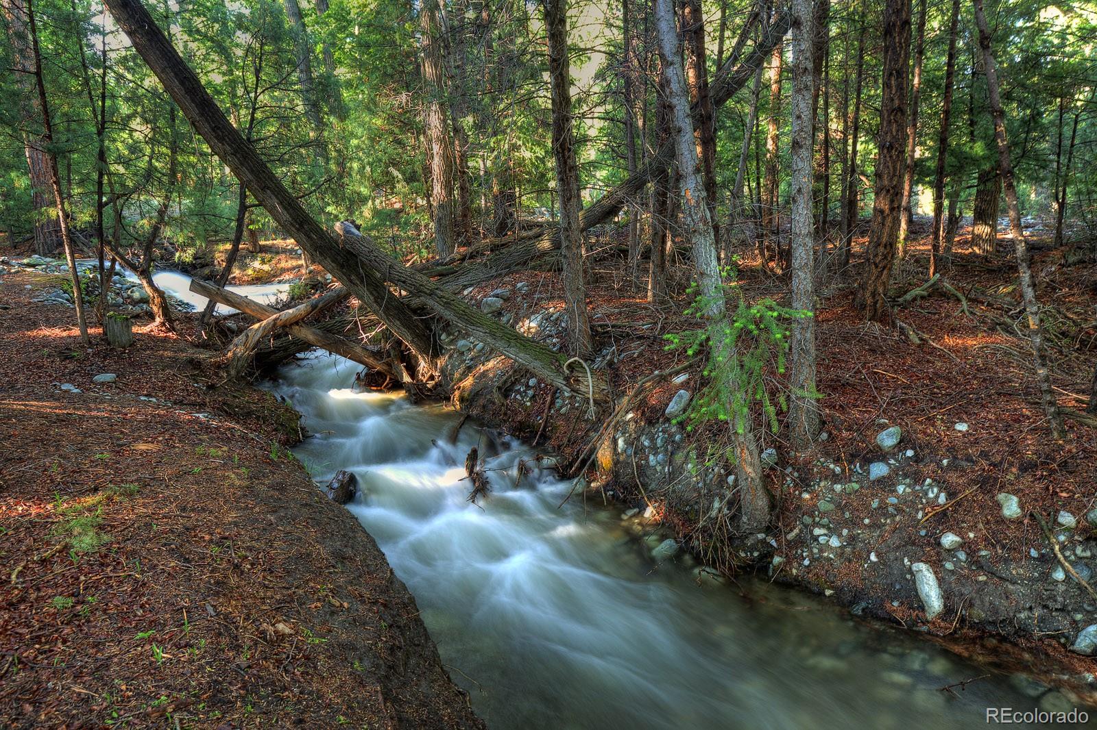 a view of a street with large trees
