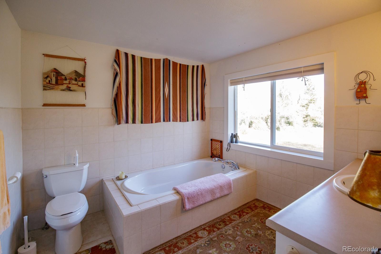 203 Hampton Run Road Mosca, CO 81146 - Photo 19 of 33 a living room with furniture and a window