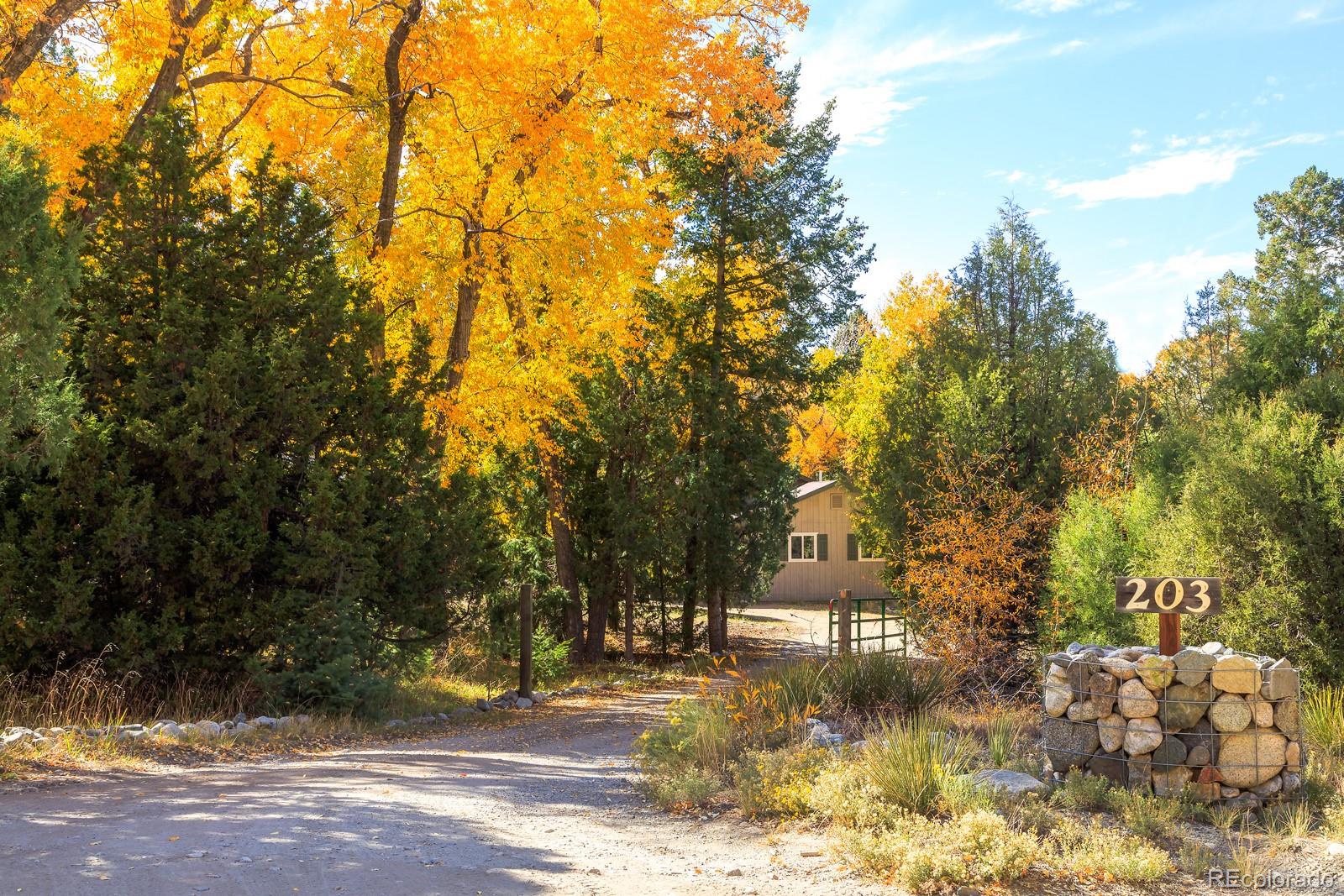 203 Hampton Run Road Mosca, CO 81146 - Photo 2 of 33 a view of a yard with plants and trees