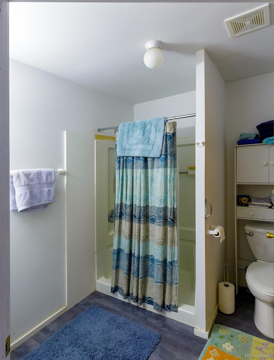 203 Hampton Run Road Mosca, CO 81146 - Photo 23 of 33 a bathroom with a toilet and a shower