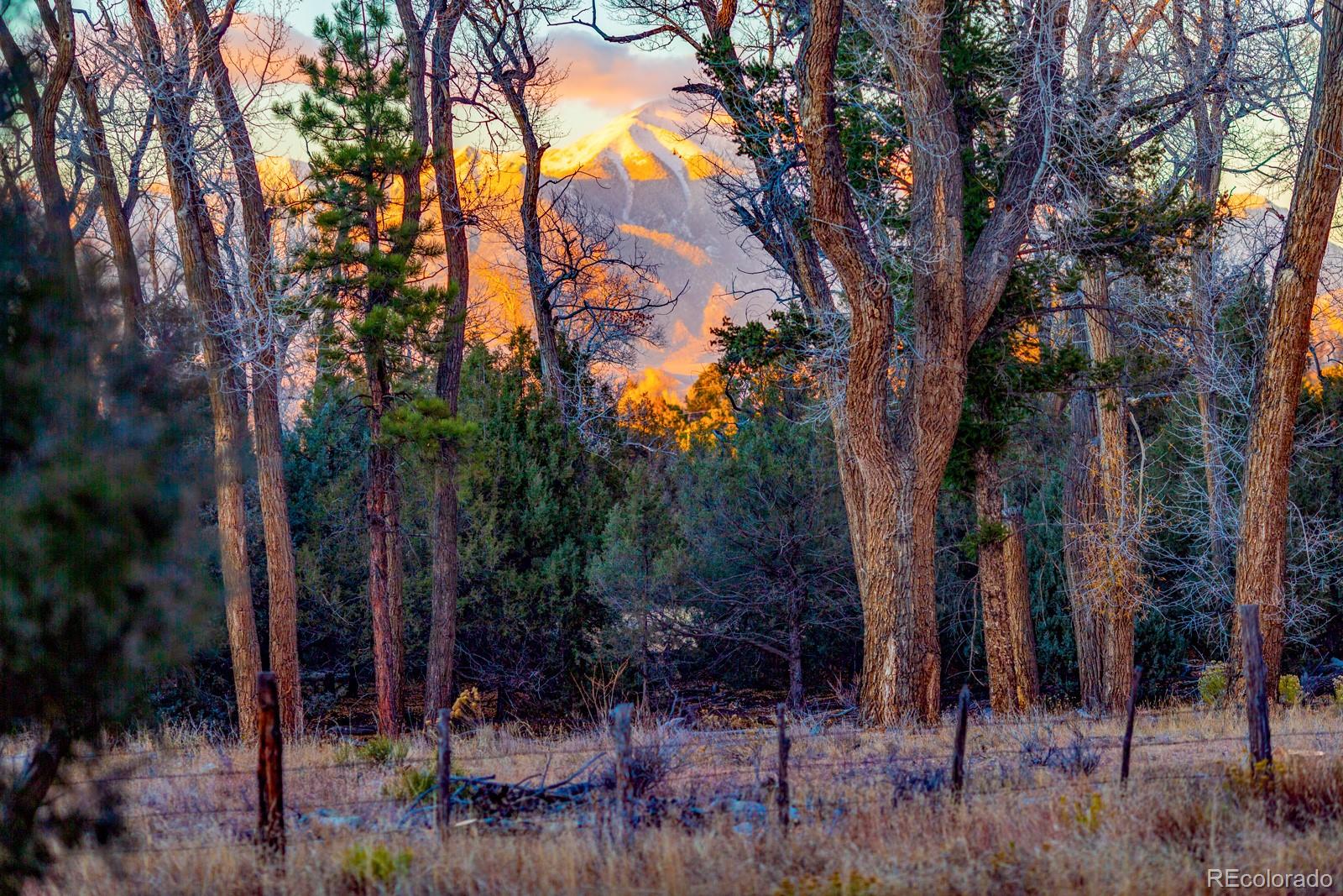 203 Hampton Run Road Mosca, CO 81146 - Photo 28 of 33 a view of a backyard