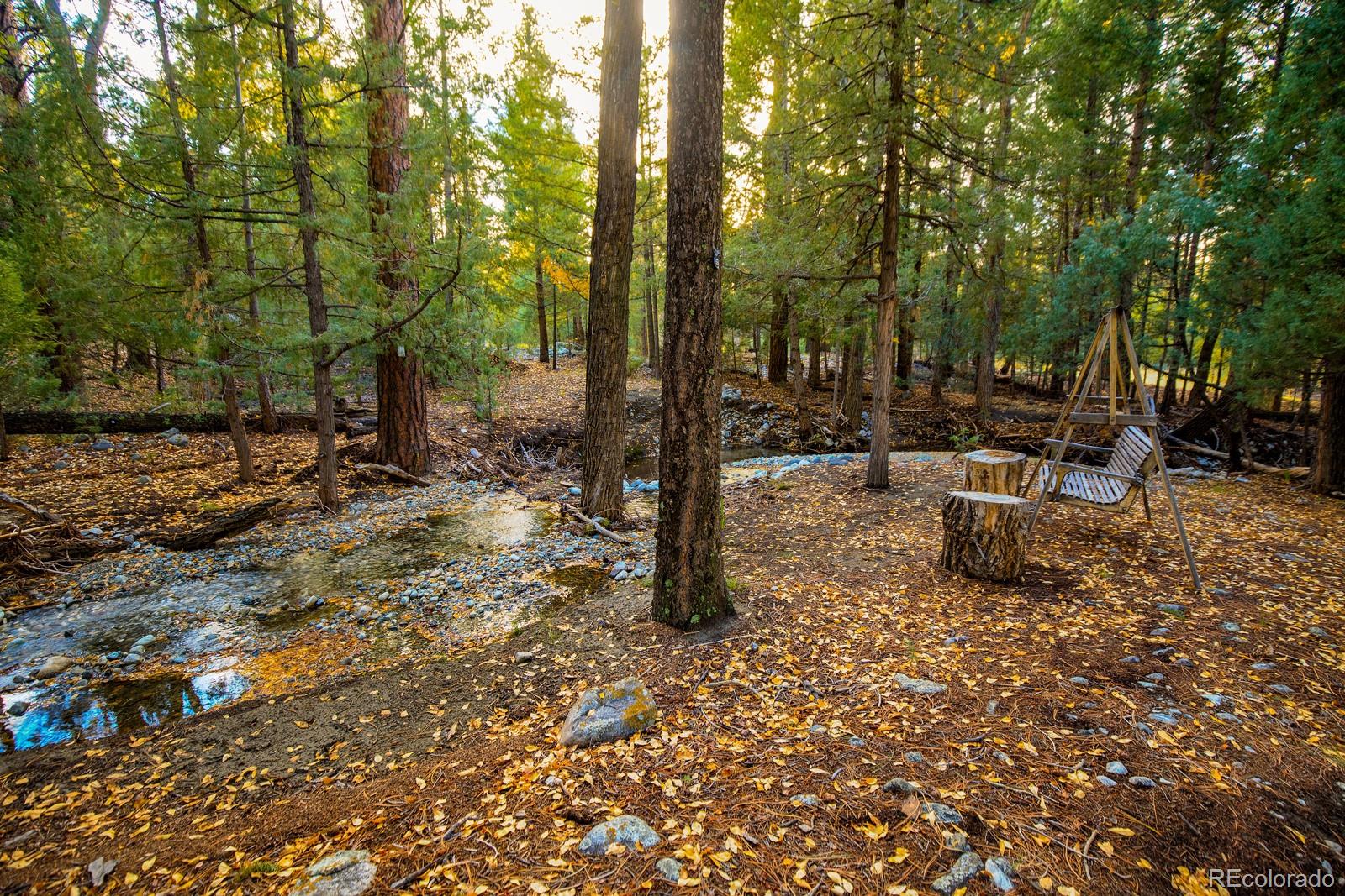 203 Hampton Run Road Mosca, CO 81146 - Photo 29 of 33 a view of a park with large trees