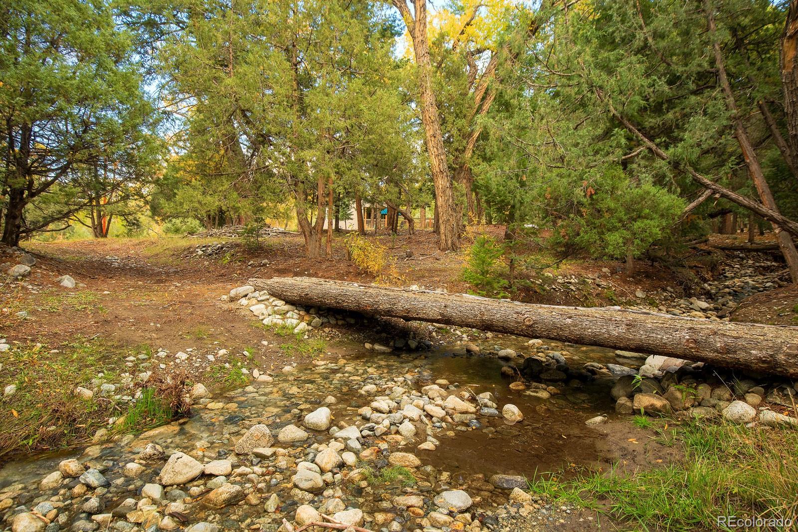 203 Hampton Run Road Mosca, CO 81146 - Photo 30 of 33 a view of a yard with an trees