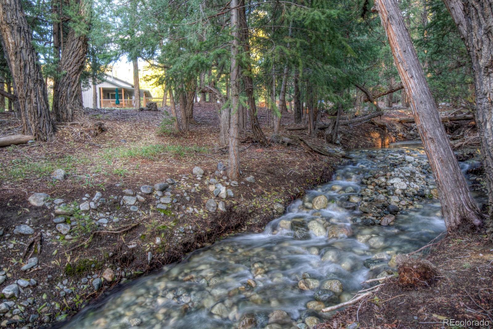 203 Hampton Run Road Mosca, CO 81146 - Photo 33 of 33 a view of a yard with lots of trees
