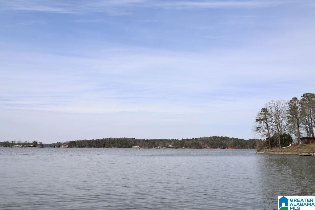 35 Waters Edge Cove Alpine, AL 35014 - Photo 71 of 95