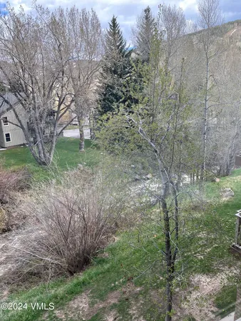 a view of a forest filled with trees