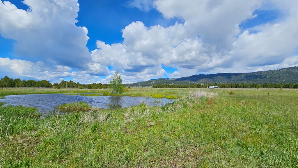 101 Sixty Lane Cascade, ID 83611 - Photo 35 of 52