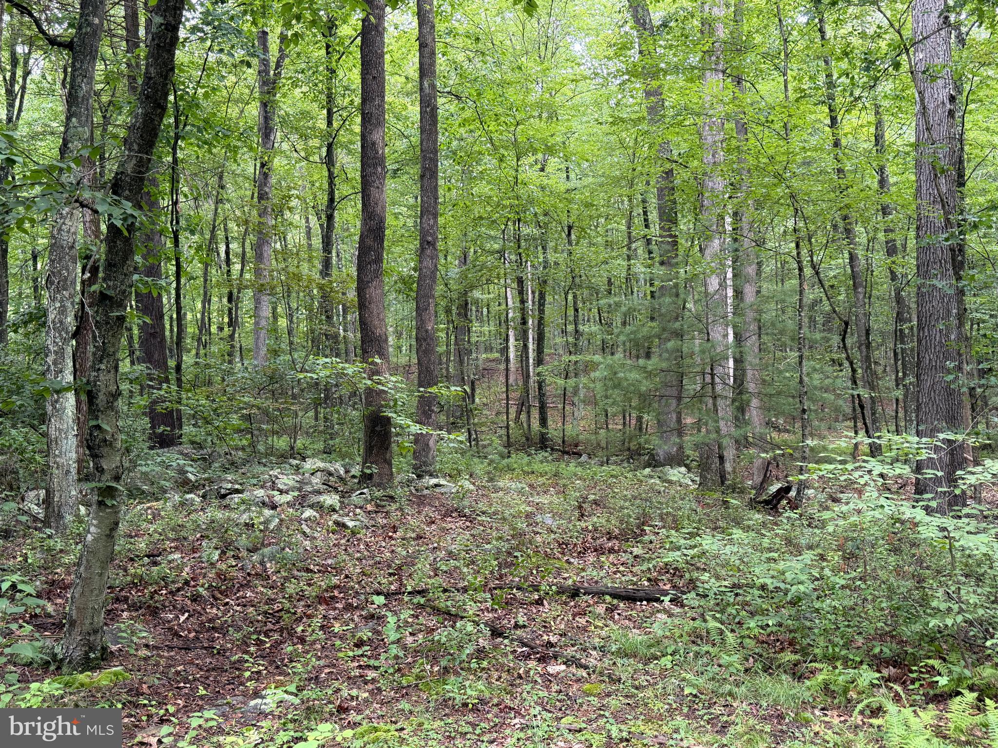 17147 Sugar Run Road Shirleysburg, PA 17260 - Photo 141 of 148