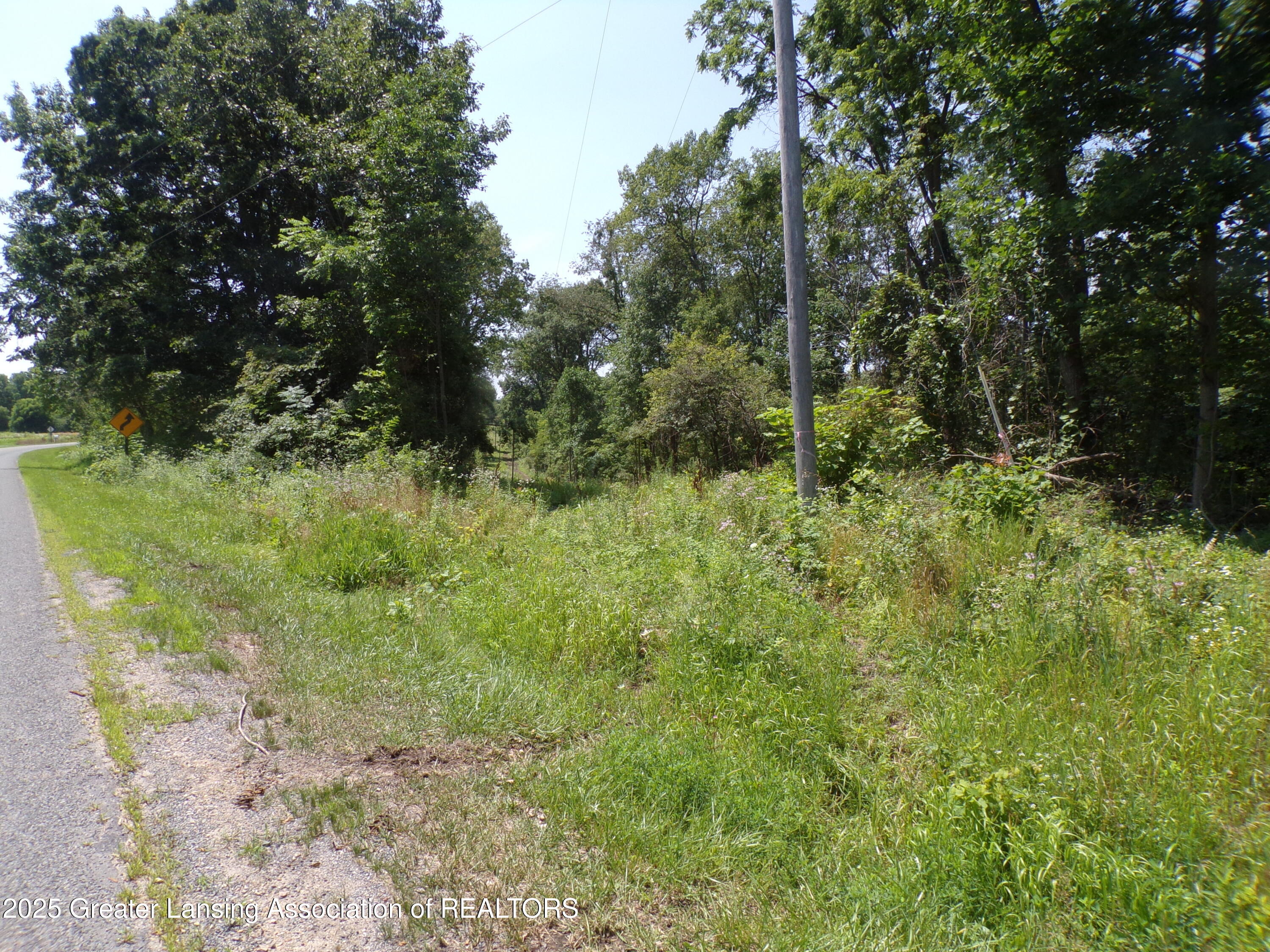0 South Lacey Lake Road Bellevue, MI 49021 - Photo 2 of 12 101_0612