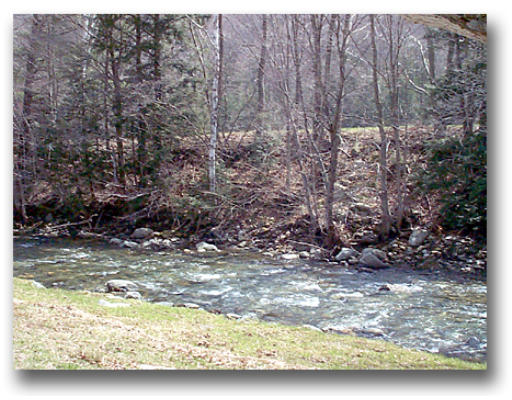 28 West Hawley Road Hawley, MA 01339 - Photo 4 of 5