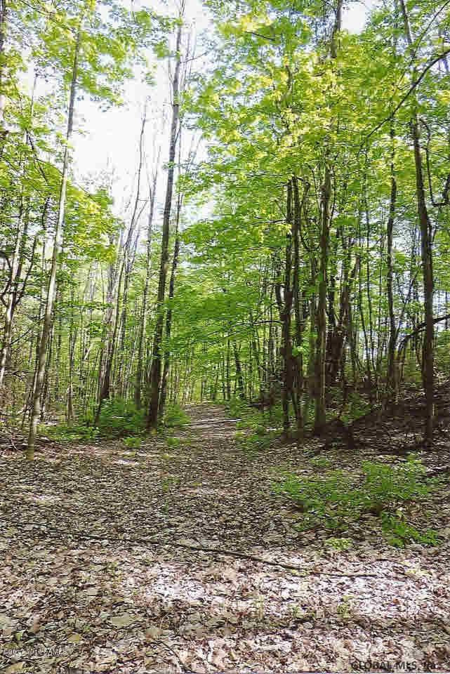 0 Beecher Road Granville, NY 12832 - Photo 5 of 11 Photo 5