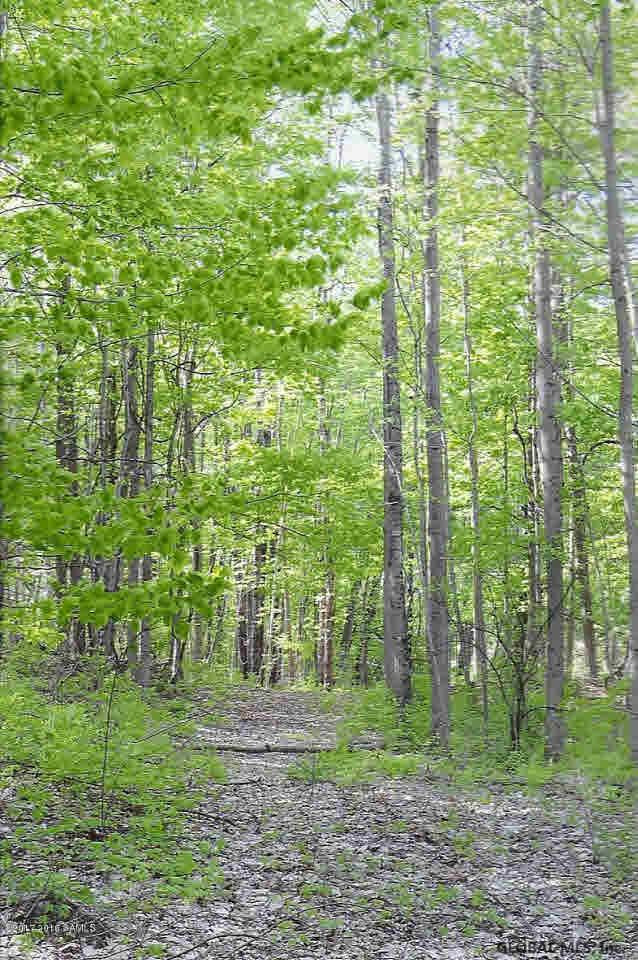 0 Beecher Road Granville, NY 12832 - Photo 6 of 11 Photo 6