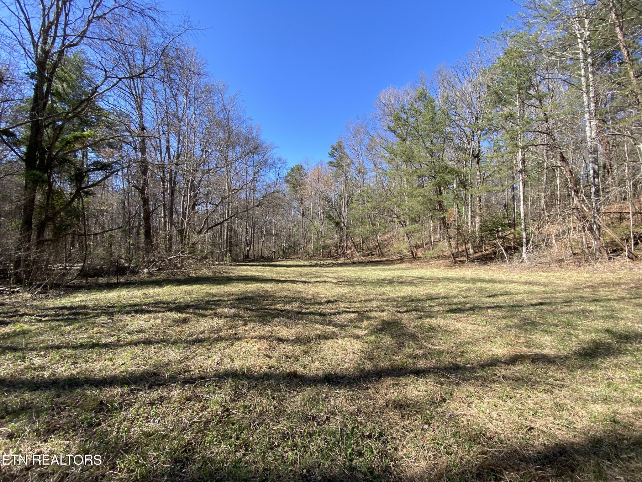 188 Dalton Branch Road Tellico Plains, TN 37385 - Photo 40 of 42