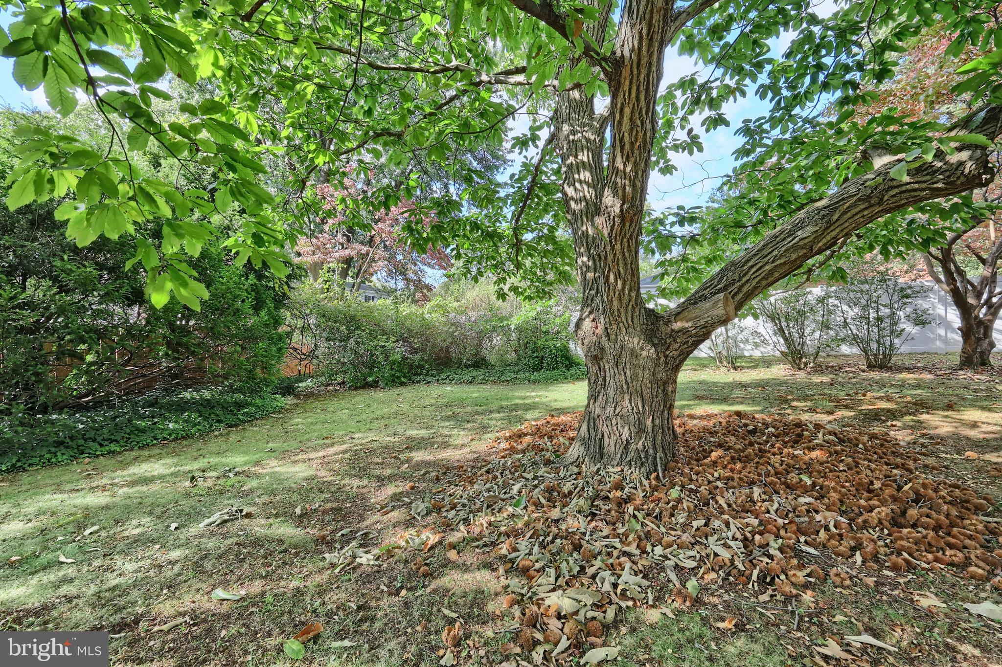 102 George Street Hanover, PA 17331 - Photo 11 of 42 Gallery Image 11