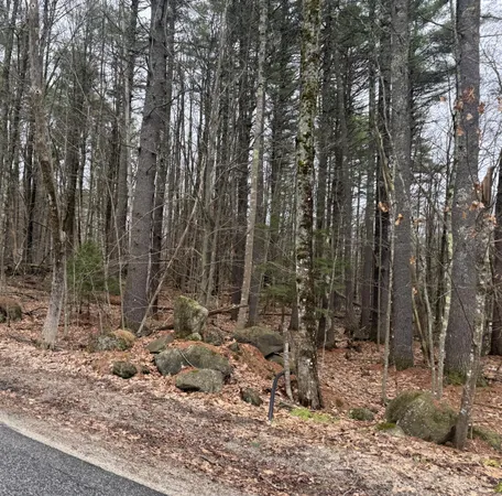$62,000 | 0 Sedgley Road, Limerick, ME 04048