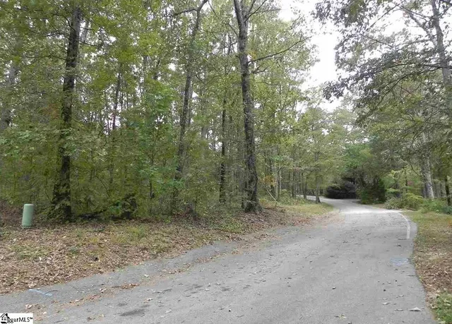 $25,000 | 27 Northslope View Drive, Landrum, SC 29356