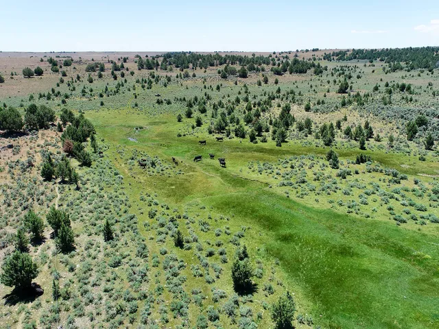 $3,900,000 | Mud Flat Road