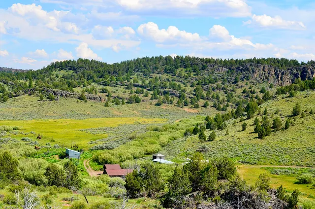 $3,900,000 | Mud Flat Road