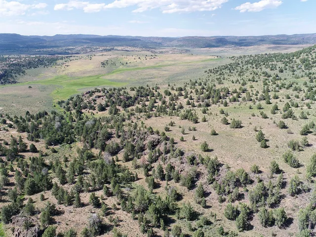 $3,900,000 | Mud Flat Road