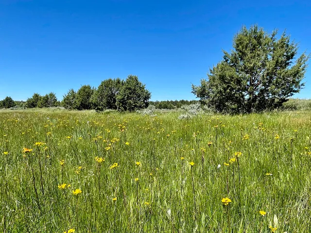 $3,900,000 | Mud Flat Road