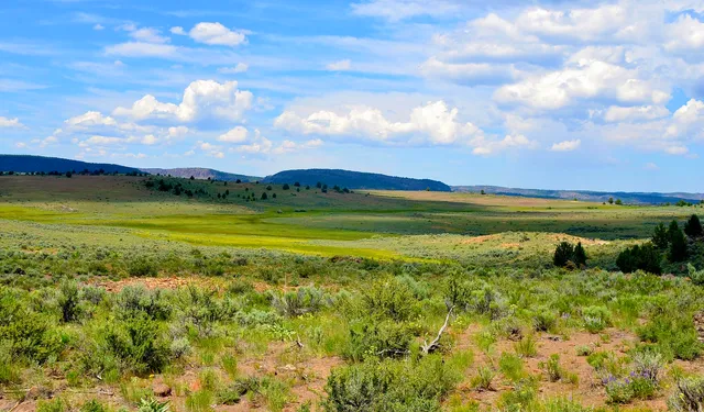 $3,900,000 | Mud Flat Road