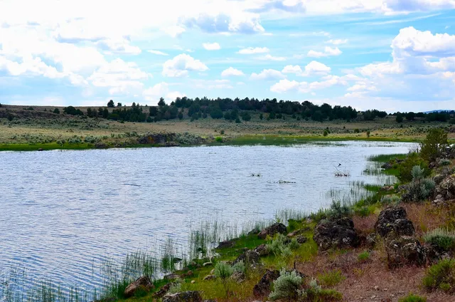 $3,900,000 | Mud Flat Road