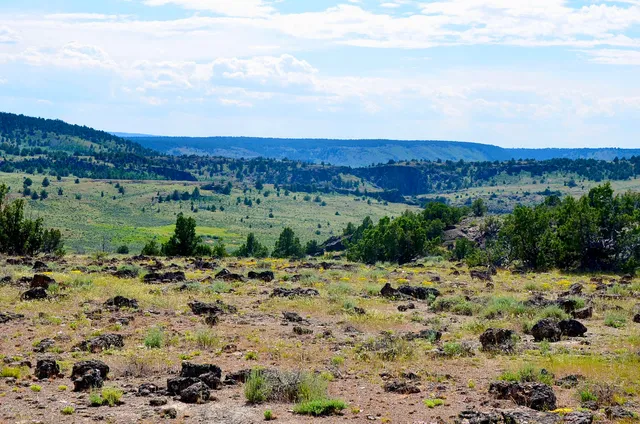 $3,900,000 | Mud Flat Road