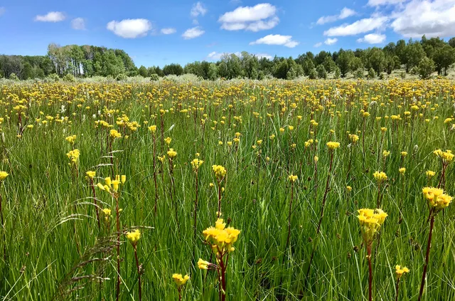 $3,900,000 | Mud Flat Road