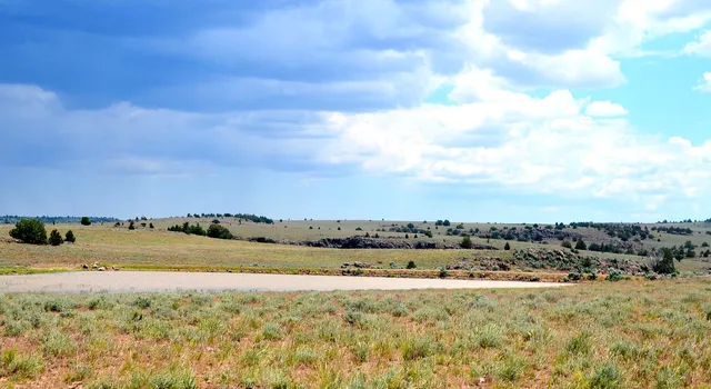 $3,900,000 | Mud Flat Road