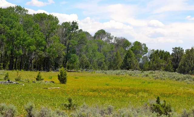 $3,900,000 | Mud Flat Road