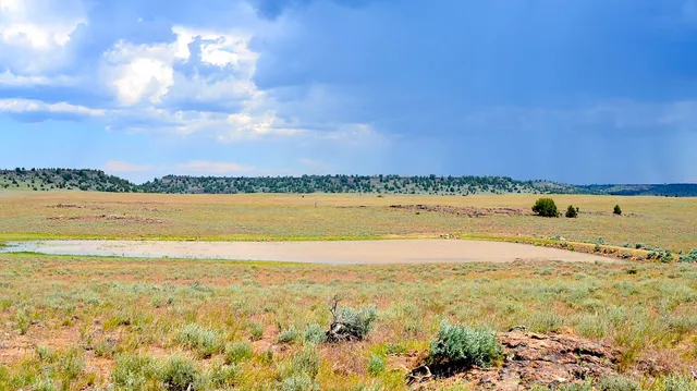 $3,900,000 | Mud Flat Road