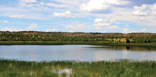 $3,900,000 | Mud Flat Road