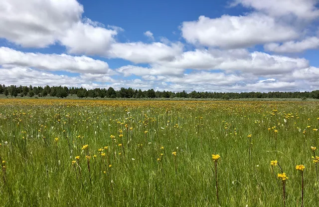 $3,900,000 | Mud Flat Road