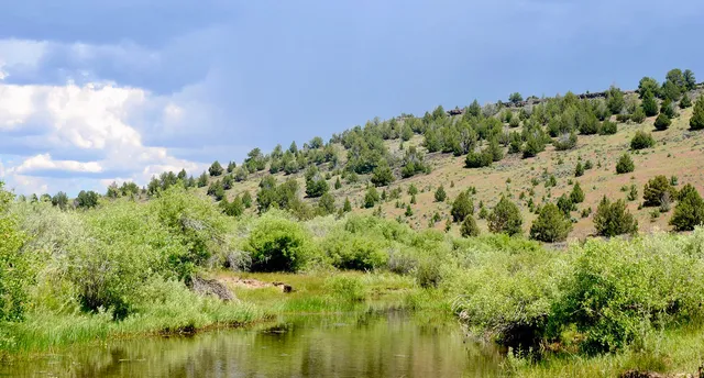 $3,900,000 | Mud Flat Road