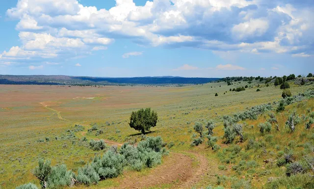 $3,900,000 | Mud Flat Road