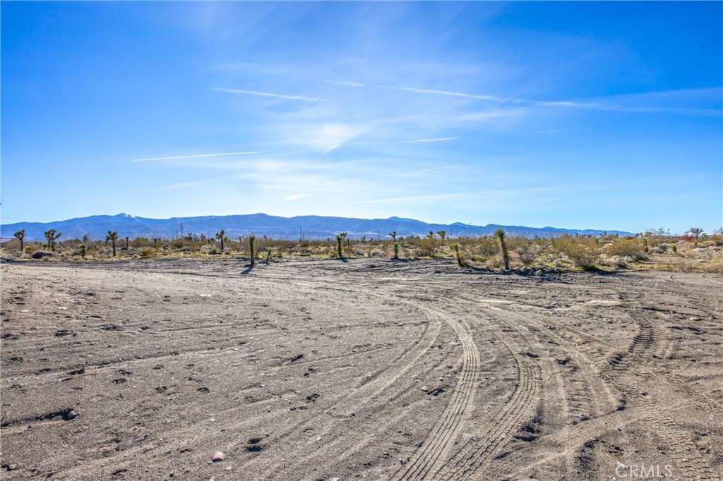 11788 Buckwheat Road Pinon Hills, CA 92371 - Photo 42 of 61