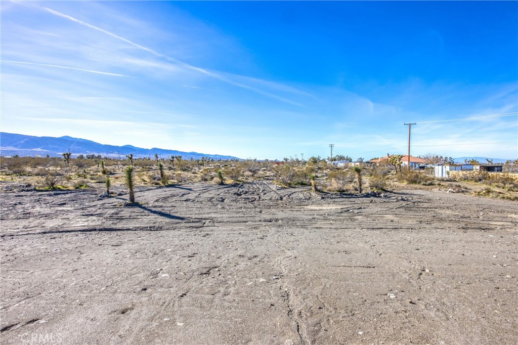 11788 Buckwheat Road Pinon Hills, CA 92371 - Photo 44 of 61