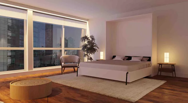 a living room with furniture and a potted plant