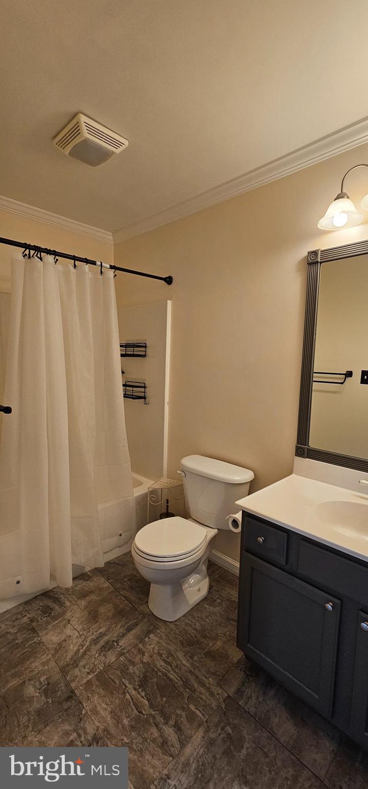 4078 Panhandle Road Front Royal, VA 22630 - Photo 8 of 23 a bathroom with a sink a toilet a mirror and shower