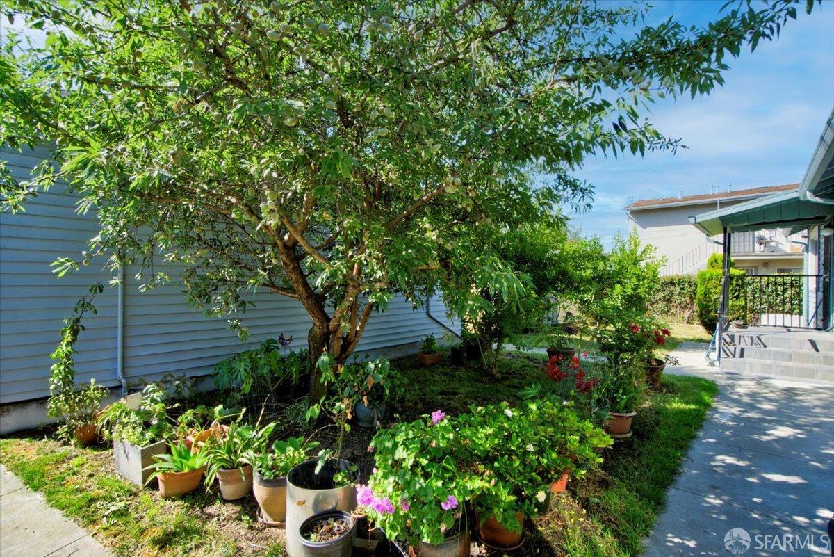 1309 80th Avenue Oakland, CA 94621 - Photo 68 of 75 a view of a garden with plants and large trees
