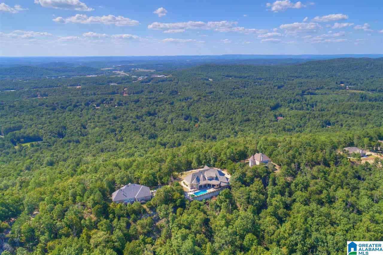 209 Kings Crest Lane Pelham, AL 35124 - Photo 50 of 50