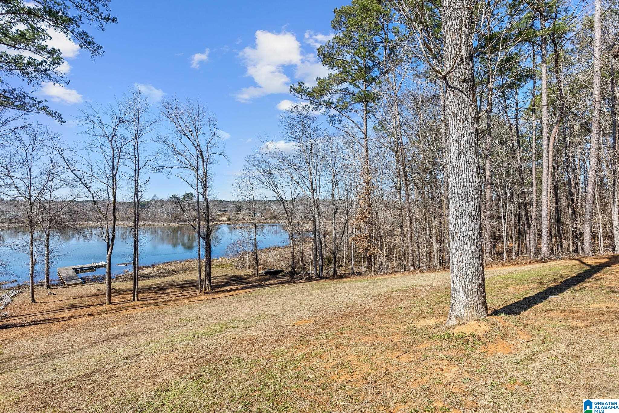 825 Cove Road Sylacauga, AL 35151 - Photo 39 of 53
