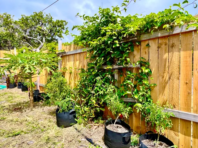 $319,000 | 94-6479 Puukani Road, Naalehu, HI 96772