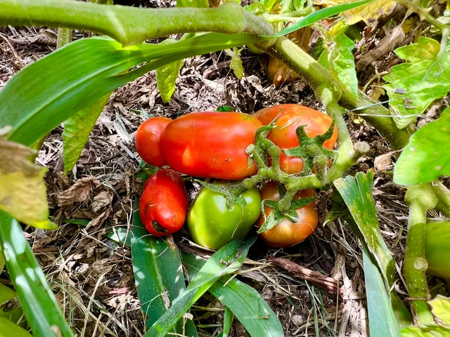 $319,000 | 94-6479 Puukani Road, Naalehu, HI 96772