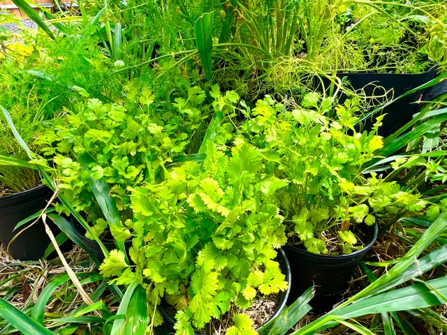 $319,000 | 94-6479 Puukani Road, Naalehu, HI 96772