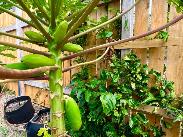 $319,000 | 94-6479 Puukani Road, Naalehu, HI 96772