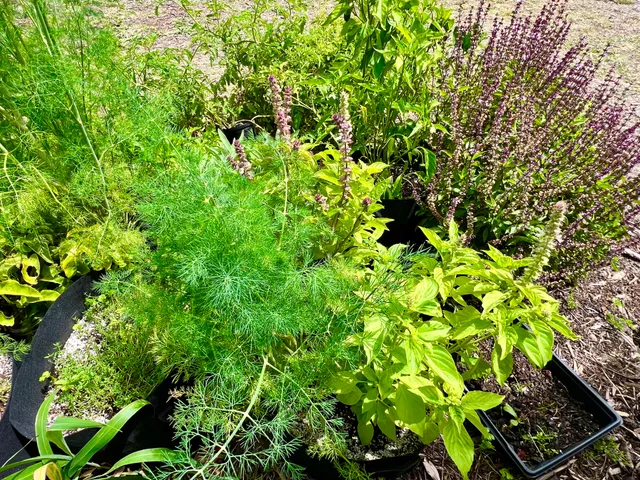 $319,000 | 94-6479 Puukani Road, Naalehu, HI 96772